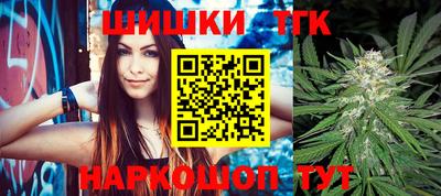 мдпв Камышлов