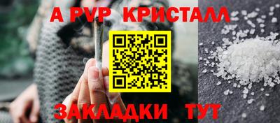 мдпв Камышлов