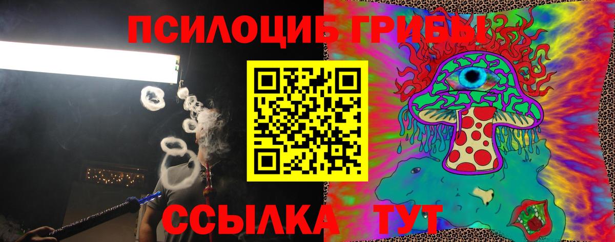 Кропоткин  Псилоцибиновые грибы прущие грибы  Вход с VPN 